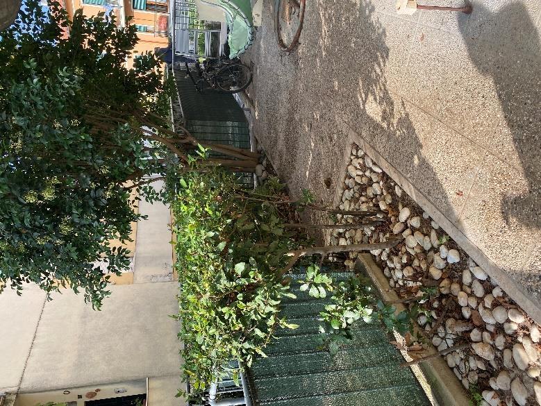 immobile appartamento all'asta in Via Solferino 34/1 - Pesaro (PU) - 4