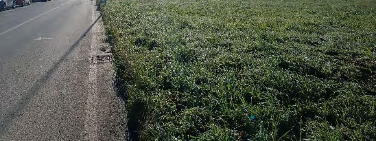 immobile terreno all'asta in Via Roma, Viale Mariani ed il proseguimento di Via Guarnieri - 61032 Fano (PU) - 2