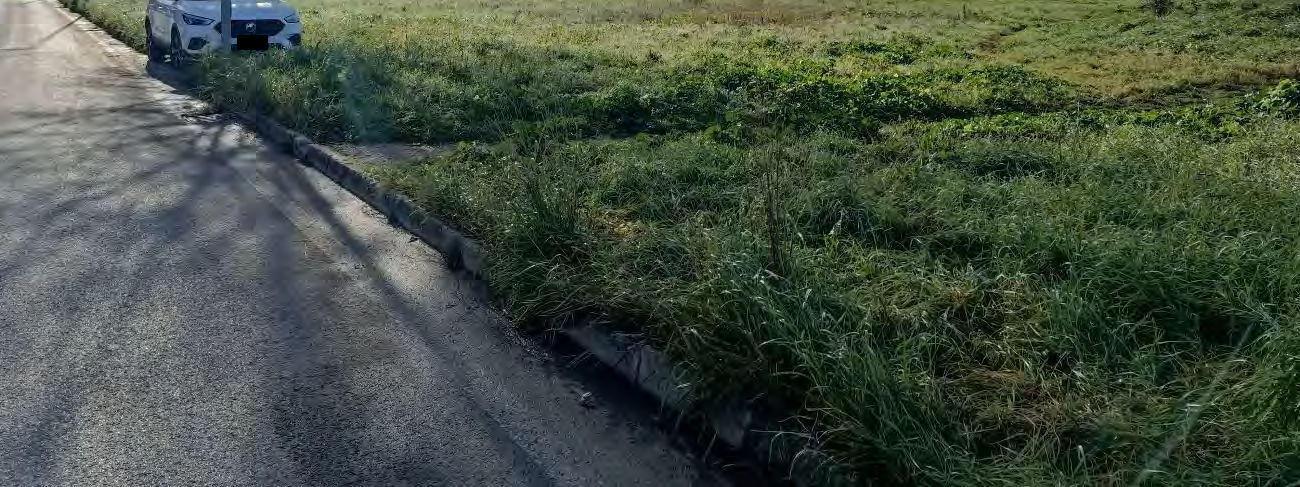 immobile terreno all'asta in Via Roma, Viale Mariani ed il proseguimento di Via Guarnieri - 61032 Fano (PU) - 4