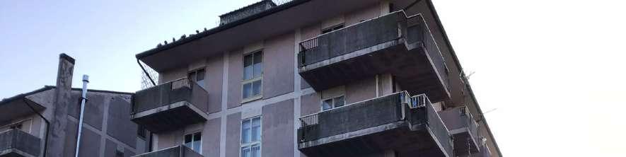 immobile appartamento all'asta in Via Vittorio Veneto, 90 - 37052 Casaleone (VR) - 4