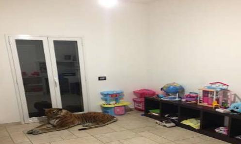 immobile appartamento all'asta in Viale Europa, 154 - Ragusa (RG) - 2