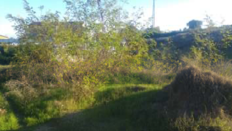 immobile attivita commerciale all'asta in Via S Onofrio, 45, 66054 Vasto CH, Italia Vasto, Chieti - 3