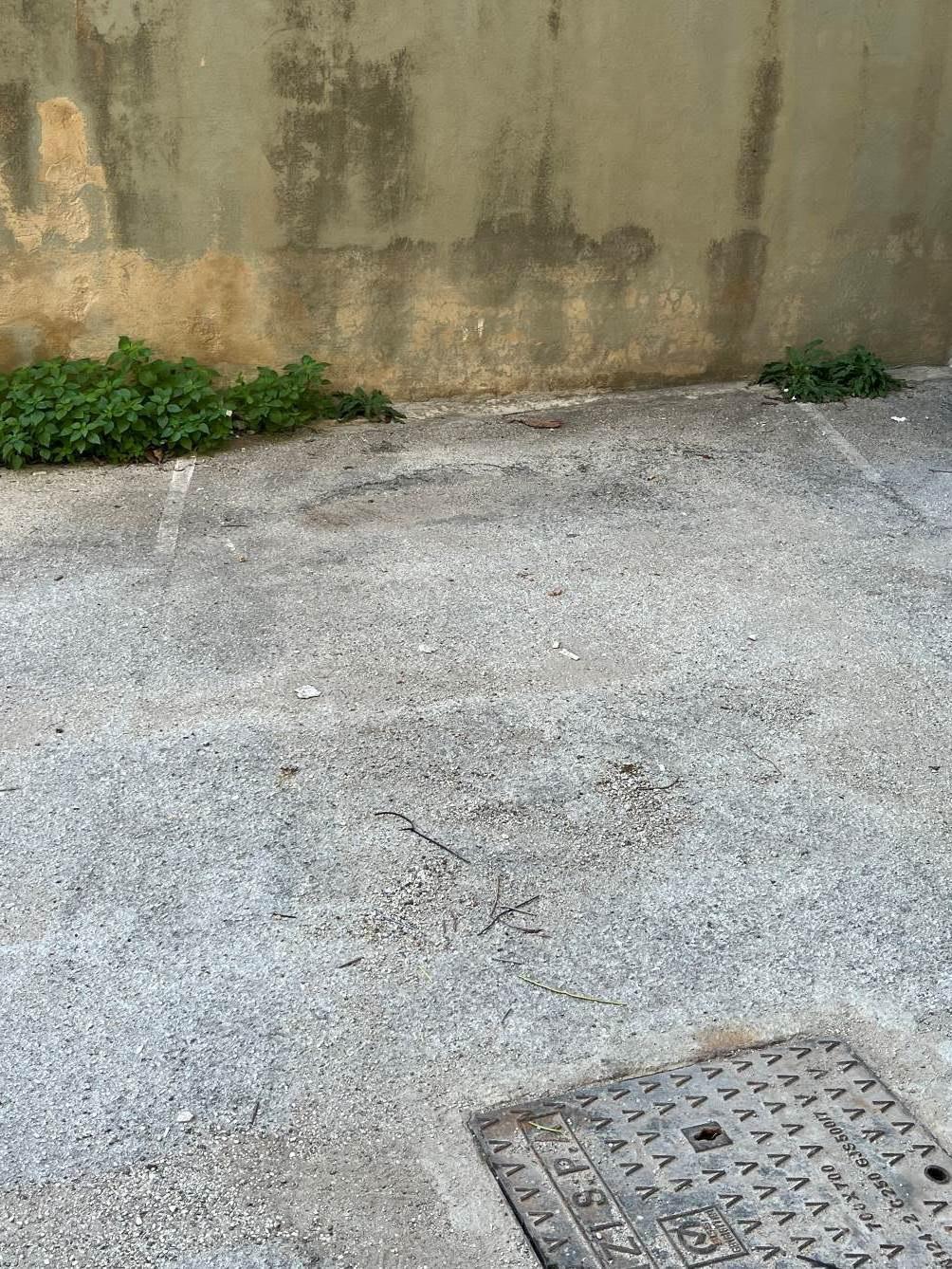immobile posto auto all'asta in Via Cosenza, 131, 91016 Casa Santa TP, Italia - 91016 Erice (TP) - 4
