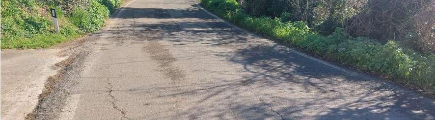 immobile terreno all'asta in Frazione Trebbio di Sant'Angelo in Lizzola - Via Serra SNC - 61022 Vallefoglia (PU) - 3