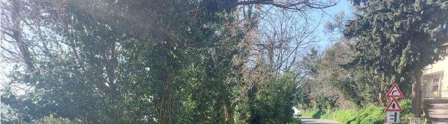 immobile terreno all'asta in Frazione Trebbio di Sant'Angelo in Lizzola - Via Serra SNC - 61022 Vallefoglia (PU) - 4