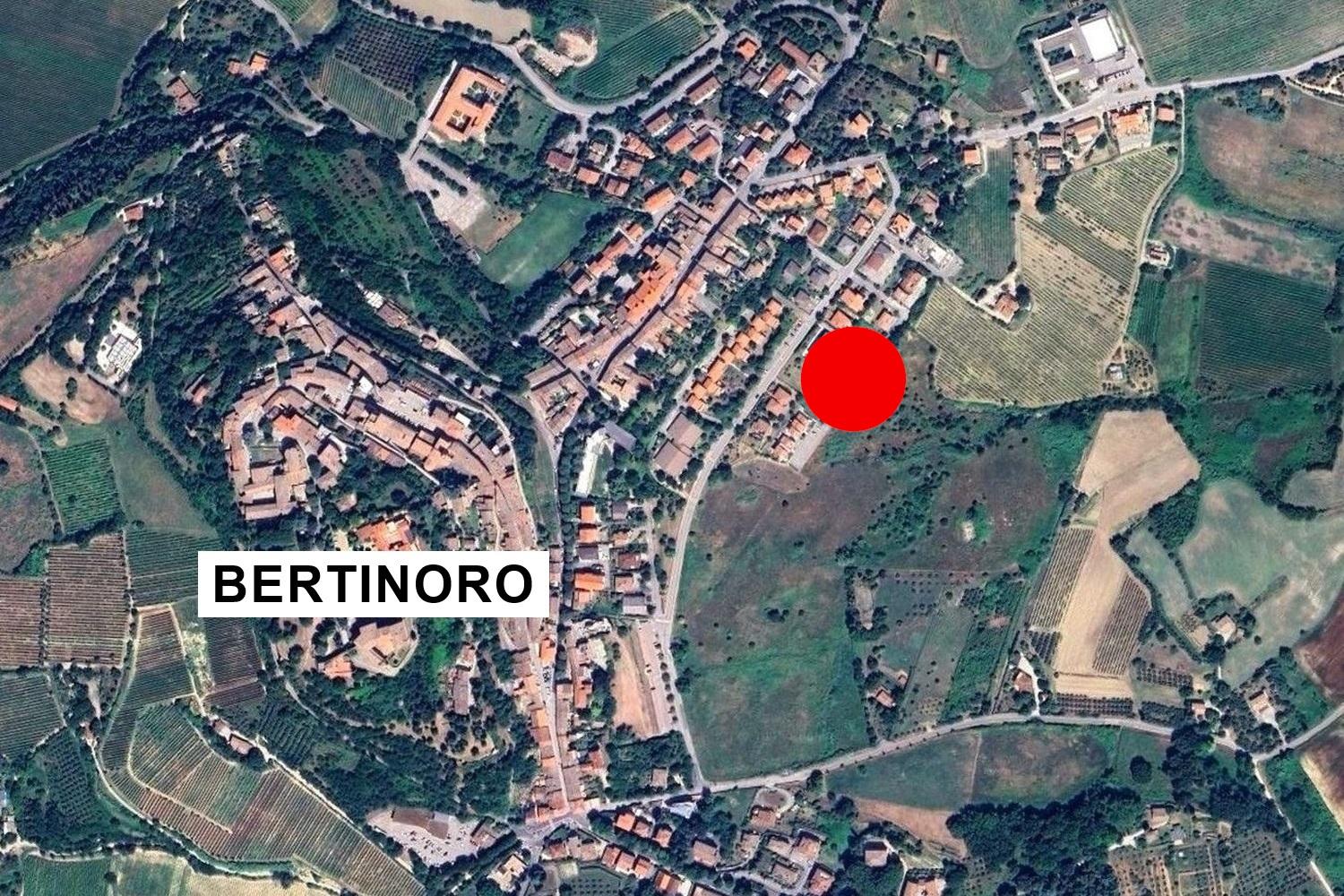 immobile terreno all'asta in Via Emilio Alessandrini, 47032 Bertinoro FC, Italia Bertinoro, Forlì-Cesena - 1