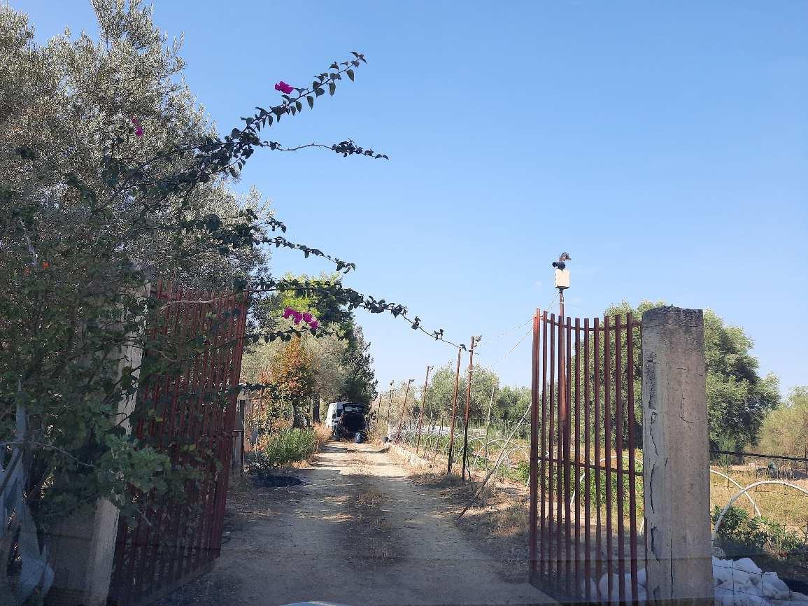 immobile appartamento all'asta in c/da Pezza del Feo snc - 95044 Mineo (CT) - 1