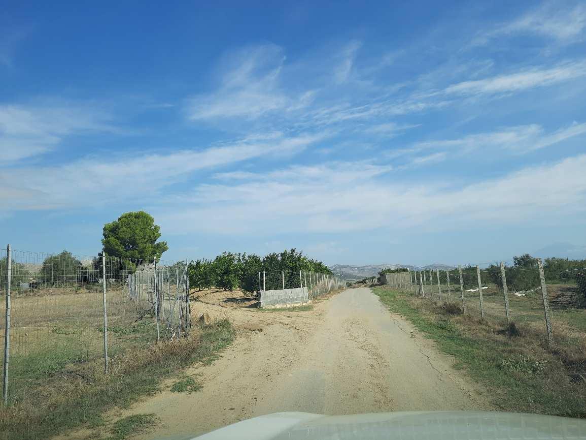 immobile appartamento all'asta in c/da Pezza del Feo snc - 95044 Mineo (CT) - 2