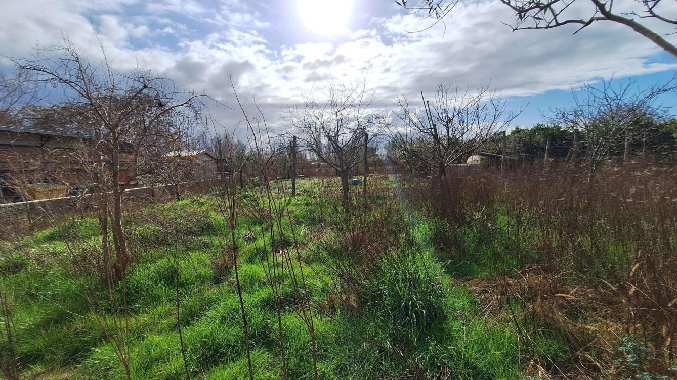 immobile terreno all'asta in Via Fosso Guidario 111D, 55049 Torre del Lago Puccini LU, Italia - 55049 Viareggio (LU) - 1