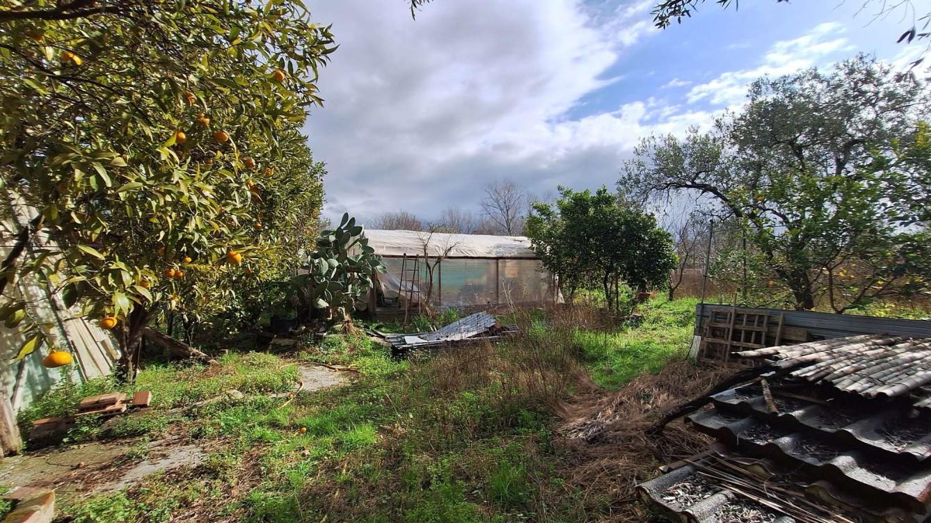 immobile terreno all'asta in Via Fosso Guidario 111D, 55049 Torre del Lago Puccini LU, Italia - 55049 Viareggio (LU) - 2