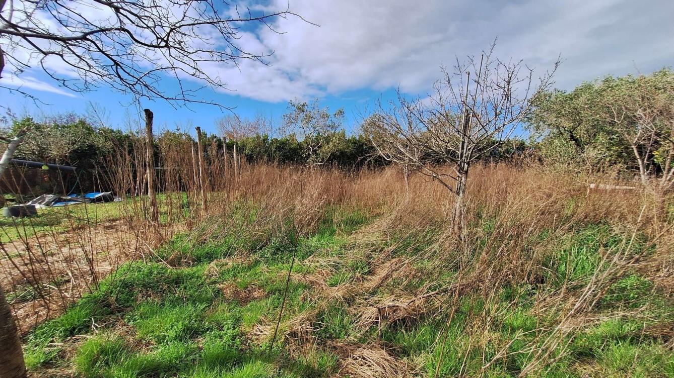 immobile terreno all'asta in Via Fosso Guidario 111D, 55049 Torre del Lago Puccini LU, Italia - 55049 Viareggio (LU) - 5