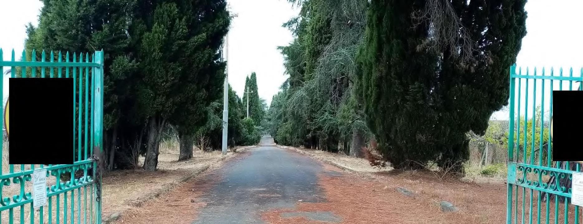 immobile terreno all'asta in Via Velletri-Nettuno 15 - Velletri (RM) - 5