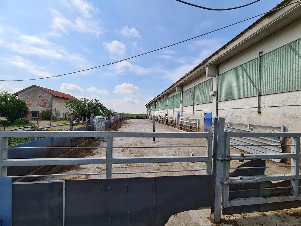 immobile attivita commerciale all'asta in Frazione Murisenghi - Cascina Piccolata, con accesso dalla strada comunale - Scalenghe (TO) - 2