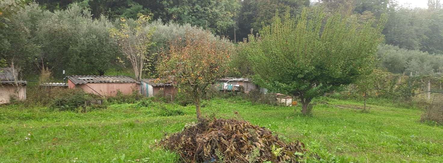 immobile appartamento all'asta in Contrada Pratelli, 36, 60030 Rosora AN, Italia Rosora, Ancona - 5