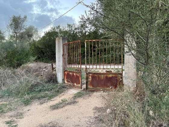 immobile rustico all'asta in Via Piscolvei, 07026 Olbia SS, Italia Olbia, Sassari - 1