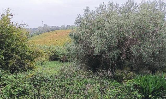 immobile appartamento all'asta in Via Pescara, 66021 Miracoli CH, Italia - 66020 Casalbordino (CH) - 3