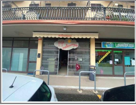 immobile negozio all'asta in Via Paesi Bassi, Masero - 54016 Licciana Nardi (MS) - 1
