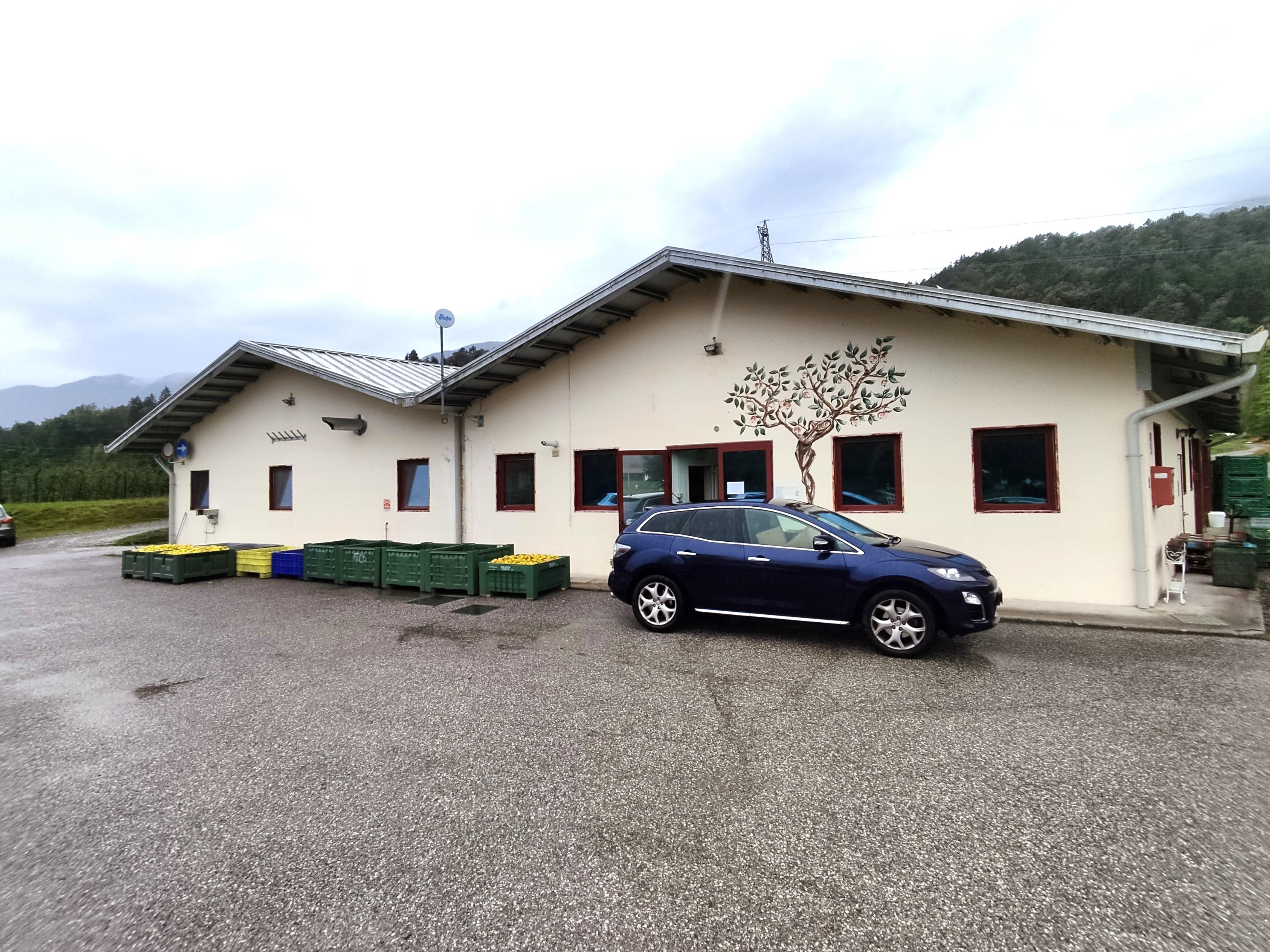 immobile capannone all'asta in Via Santo Stefano, 11 - 33020 Verzegnis (UD) - 1