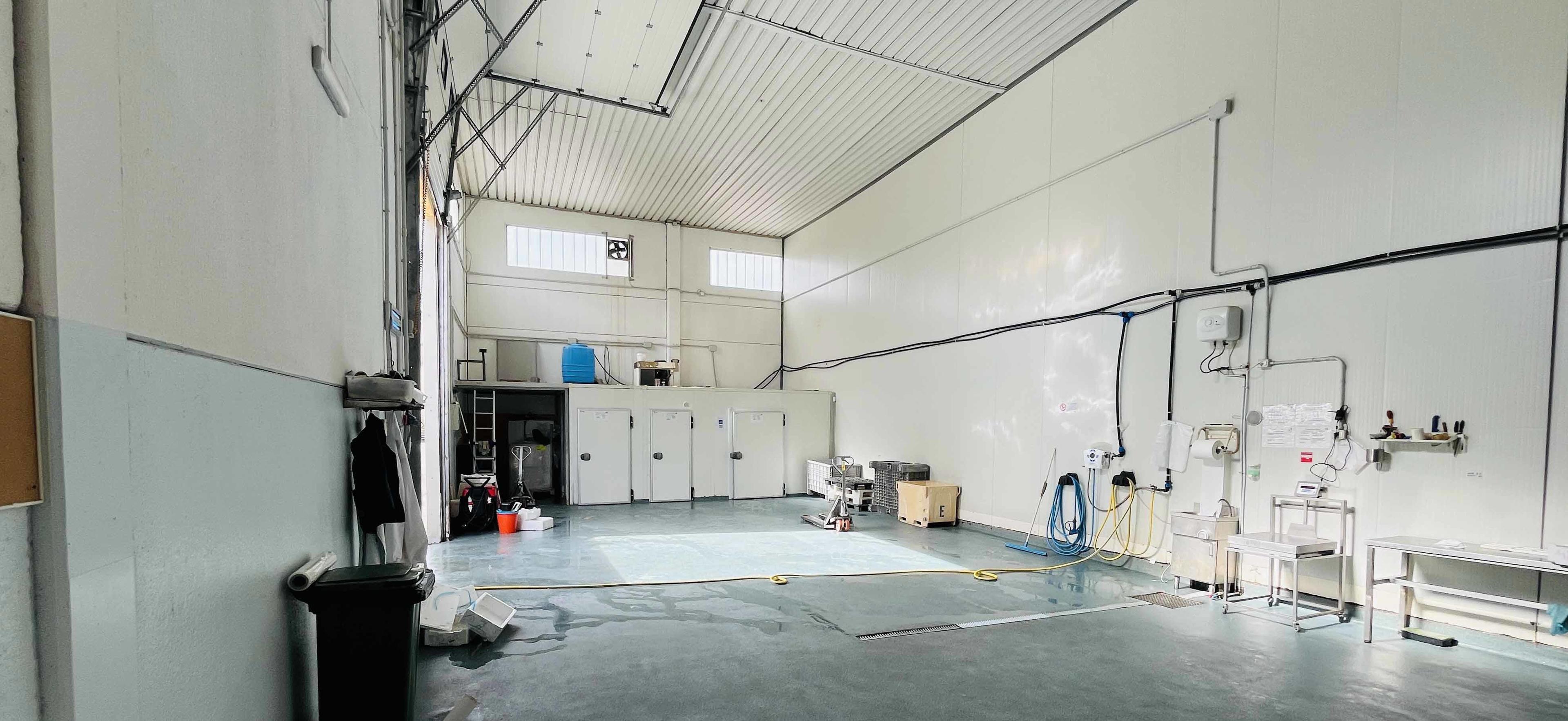 immobile attivita commerciale all'asta in località  Montegemoli, via Ombrone n 8 - Piombino (LI) - 5