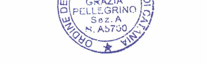 immobile appartamento all'asta in Via Lorenzo Bernini 4 - 95030 Mascalucia (CT) - 1