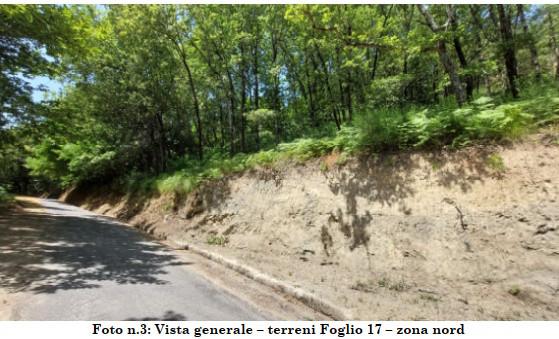 immobile terreno all'asta in Arenacchio, località Arenacchio - 87034 Grimaldi (CS) - 1