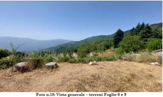 immobile terreno all'asta in Capalbi, località Capalbi - 87034 Grimaldi (CS) - 1