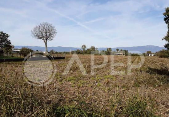 immobile terreno all'asta in lungo Viale Europa in prossimità del civico n 16 - Galliera Veneta (PD) - 1