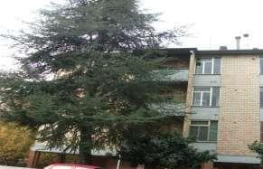 immobile appartamento all'asta in Via Cesena, 1, 48018 Faenza RA, Italia Faenza, Ravenna - 5