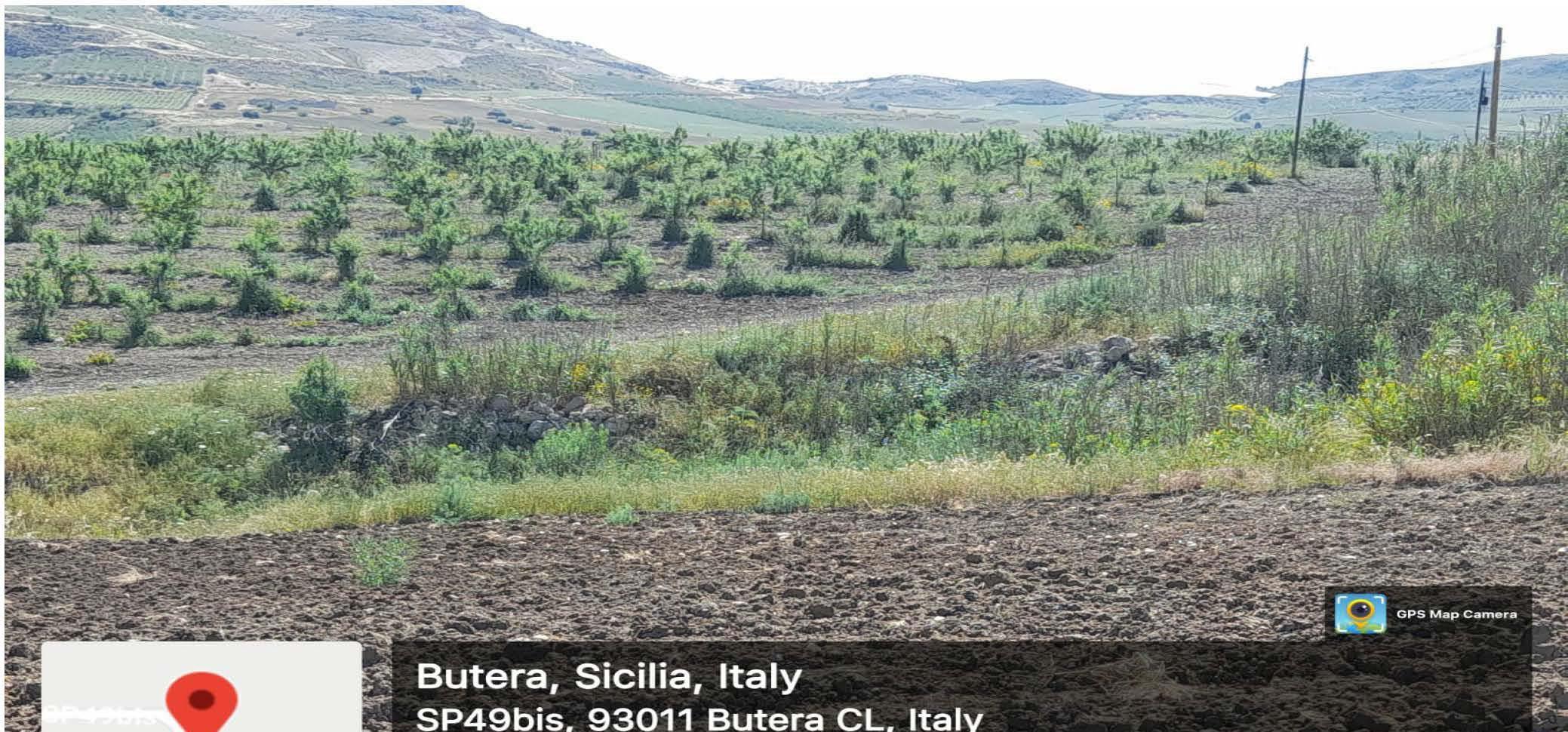 immobile terreno all'asta in contrada Inviata - 93011 Butera (CL) - 1