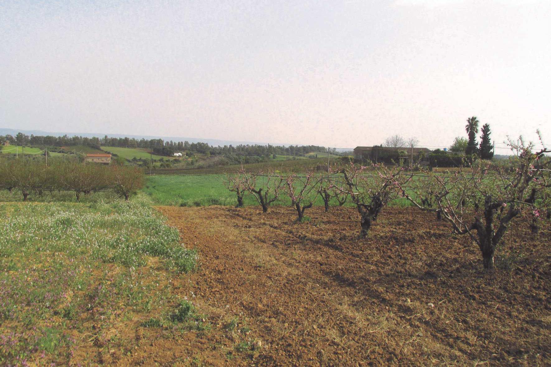 immobile terreno all'asta in Via Piano S Paolo, 95041 Caltagirone CT, Italia Caltagirone, Catania - 3