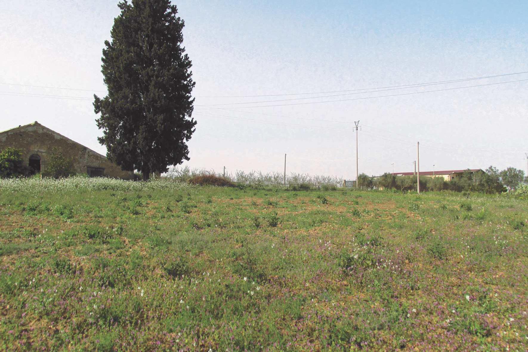 immobile terreno all'asta in Via Piano S Paolo, 95041 Caltagirone CT, Italia Caltagirone, Catania - 2