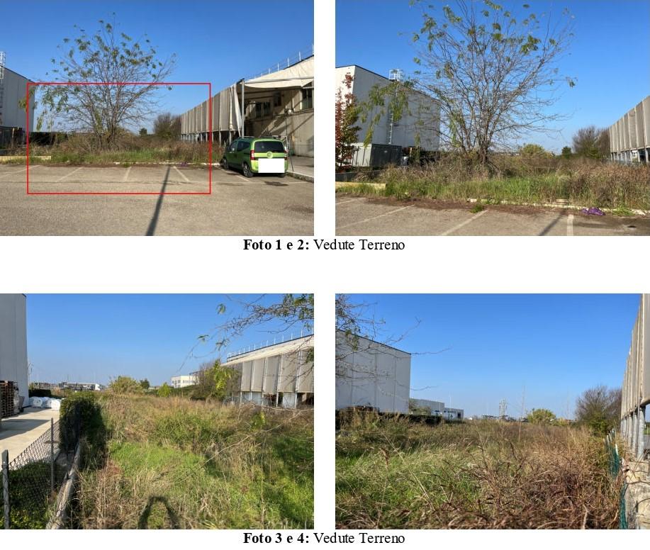 immobile terreno all'asta in Via Santerno, 48015 Savio RA, Italia - Cervia (RA) - 1