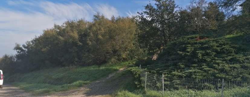 immobile appartamento all'asta in San Giorgio in Ceparano, Via Ceparano, 29 - 48013 Brisighella (RA) - 4