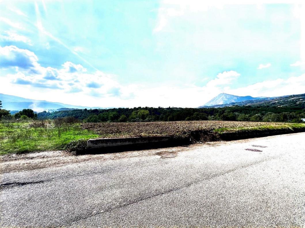 immobile terreno all'asta in Contrada Olivella - 83016 Roccabascerana (AV) - 2