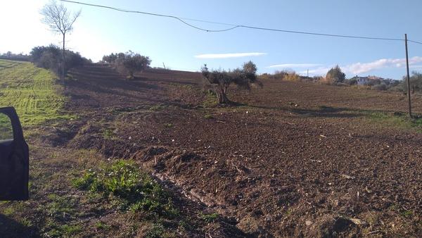 immobile terreno all'asta in contrada Piani - Castiglione Messer Raimondo (TE) - 3