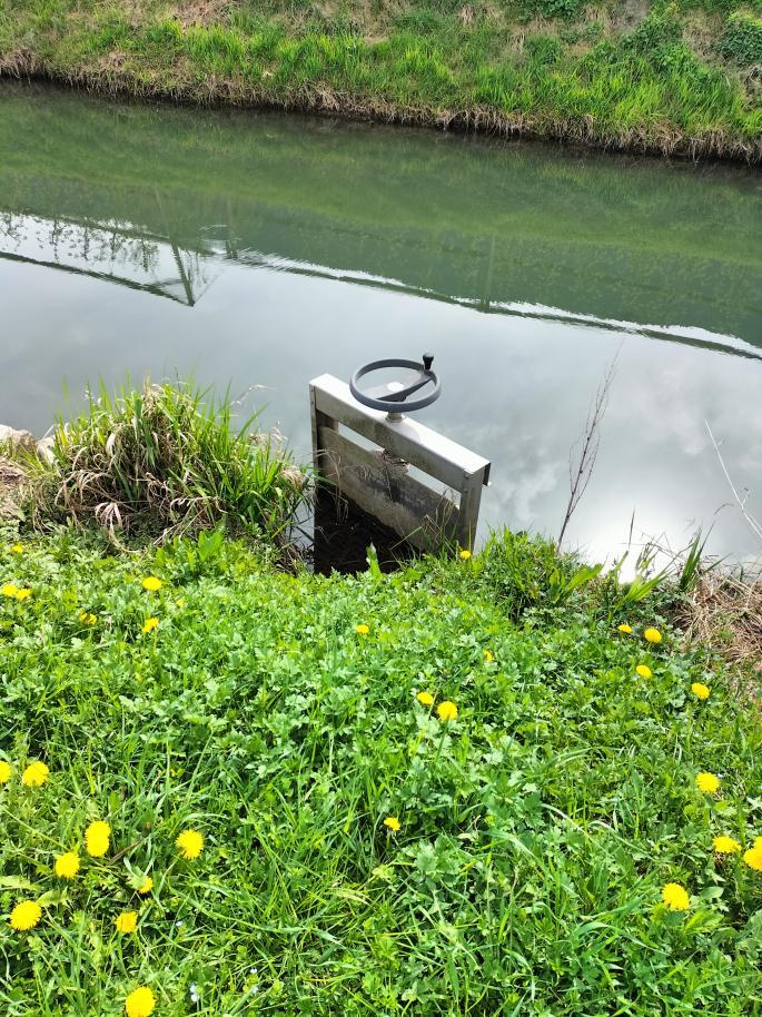 immobile terreno all'asta in Via zona torbiere snc - 39040 Salorno (BZ) - 5