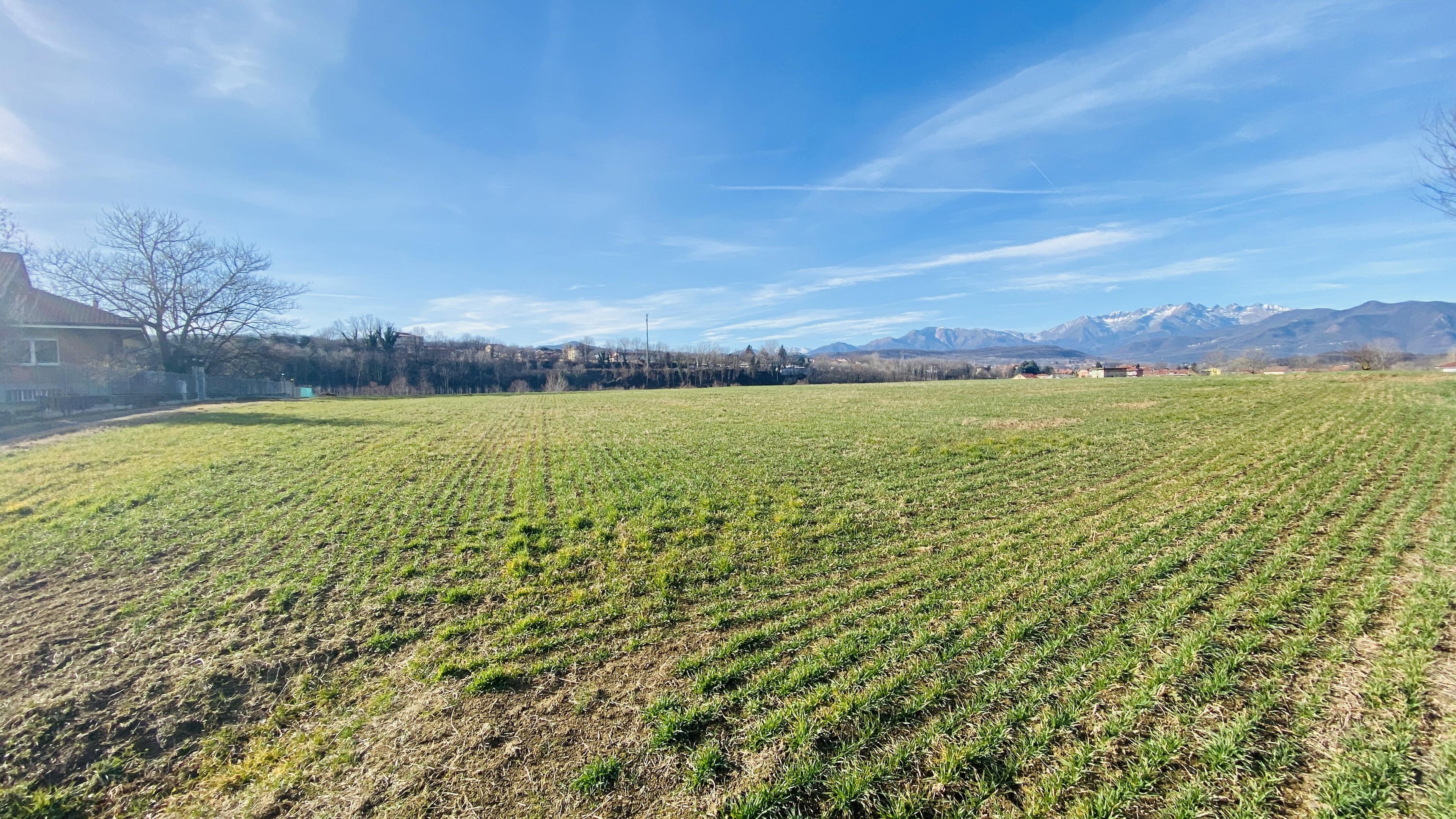 immobile terreno all'asta in Rosta TO, Italia - 10090 Rosta (TO) - 5