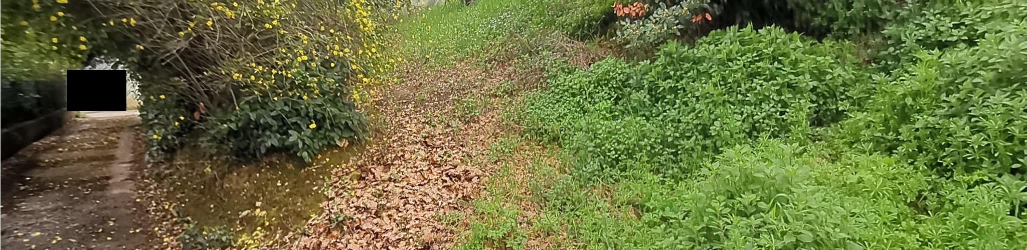 immobile terreno all'asta in Contrada Paterno snc - 63030 Acquaviva Picena (AP) - 4