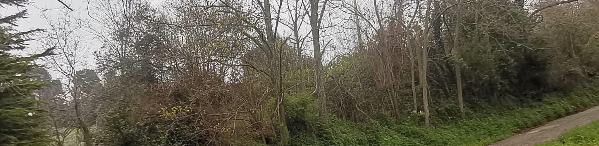 immobile terreno all'asta in Contrada Paterno snc - 63030 Acquaviva Picena (AP) - 5