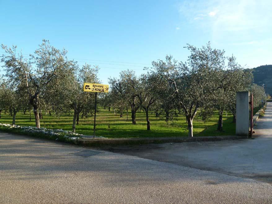 immobile attivita commerciale all'asta in LocalitĂ Le Monache, 71030 Mattinata FG, Italia Mattinata, Foggia - 2