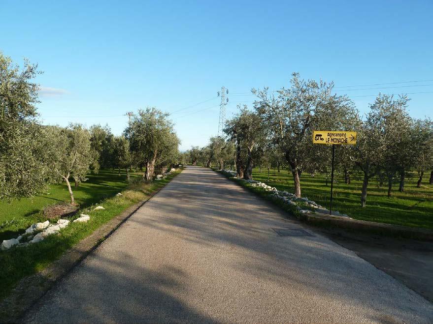 immobile attivita commerciale all'asta in LocalitĂ Le Monache, 71030 Mattinata FG, Italia Mattinata, Foggia - 1