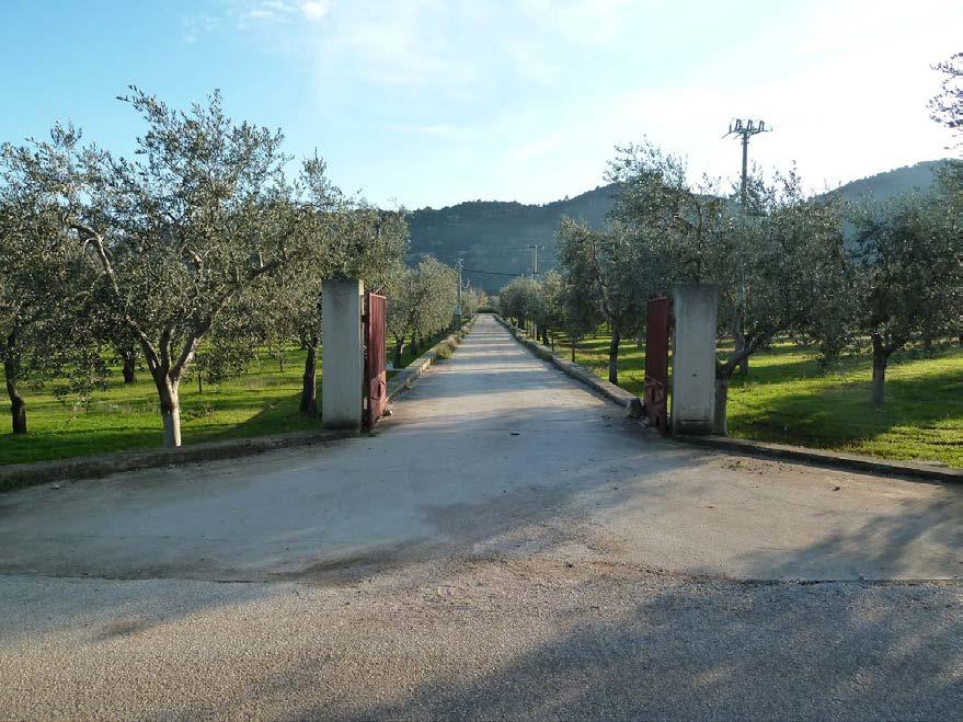 immobile attivita commerciale all'asta in LocalitĂ Le Monache, 71030 Mattinata FG, Italia Mattinata, Foggia - 3