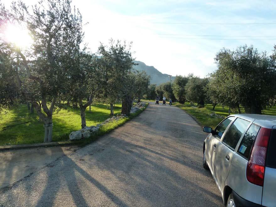 immobile attivita commerciale all'asta in LocalitĂ Le Monache, 71030 Mattinata FG, Italia Mattinata, Foggia - 4