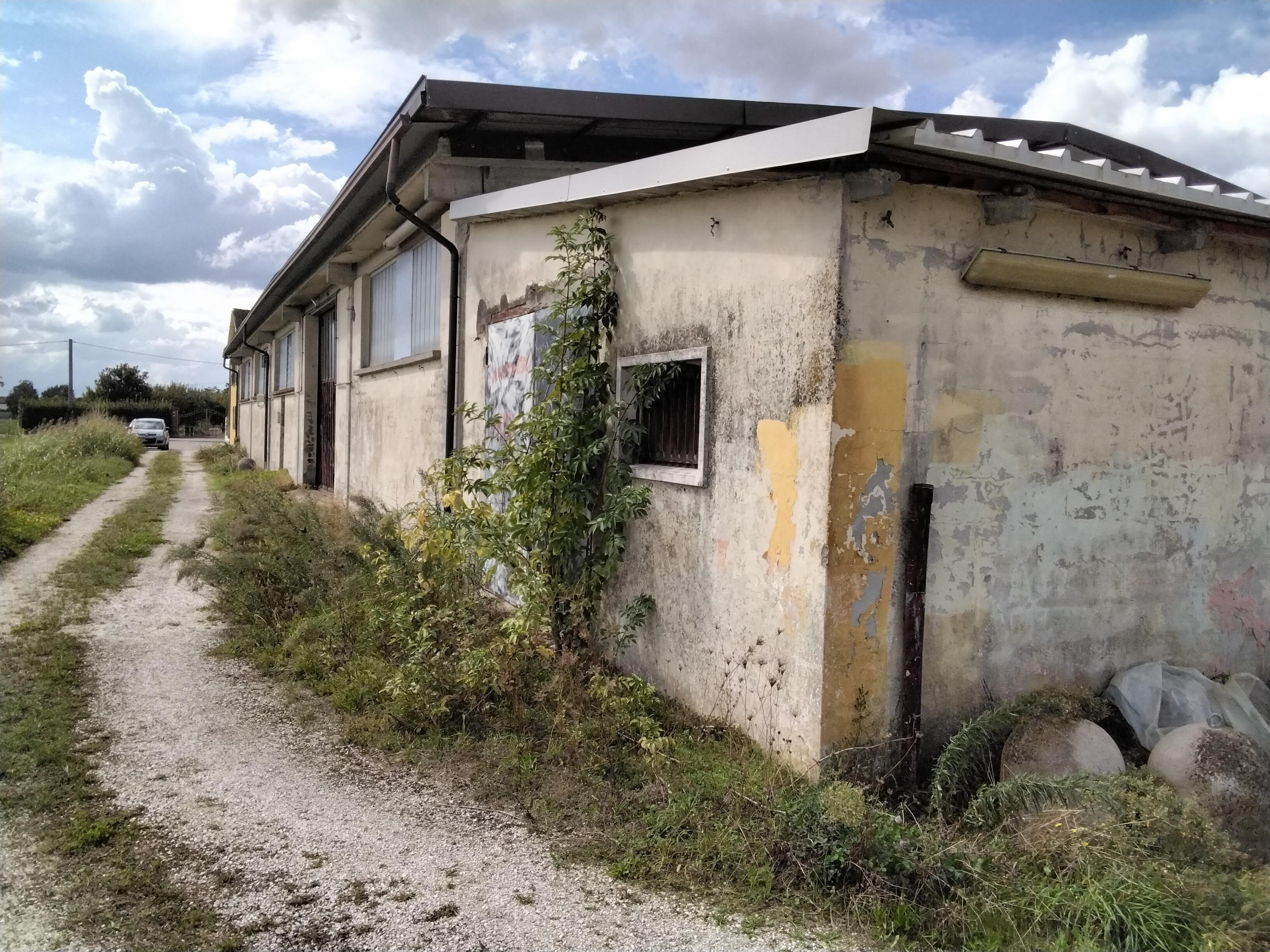 immobile capannone all'asta in Via delle Ville, 183/D - 42016 Guastalla (RE) - 3