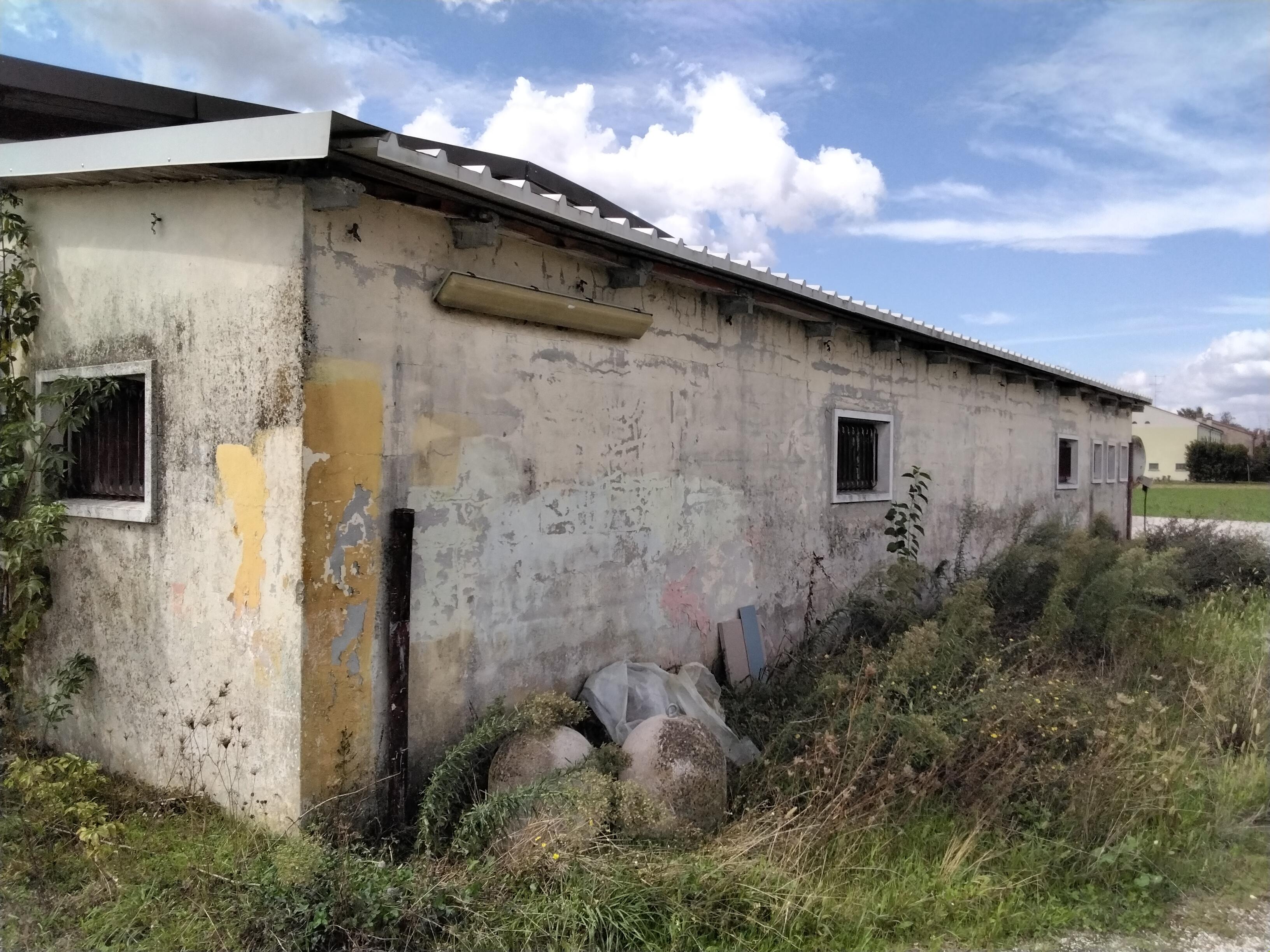 immobile capannone all'asta in Via delle Ville, 183/D - 42016 Guastalla (RE) - 4