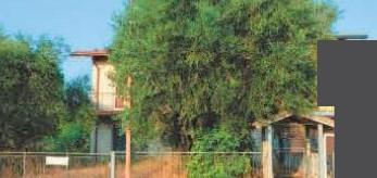 immobile appartamento all'asta in Via Capannaguzzo, 6824, 47521 Cesena FC, Italia Cesena, Forlì-Cesena - 2