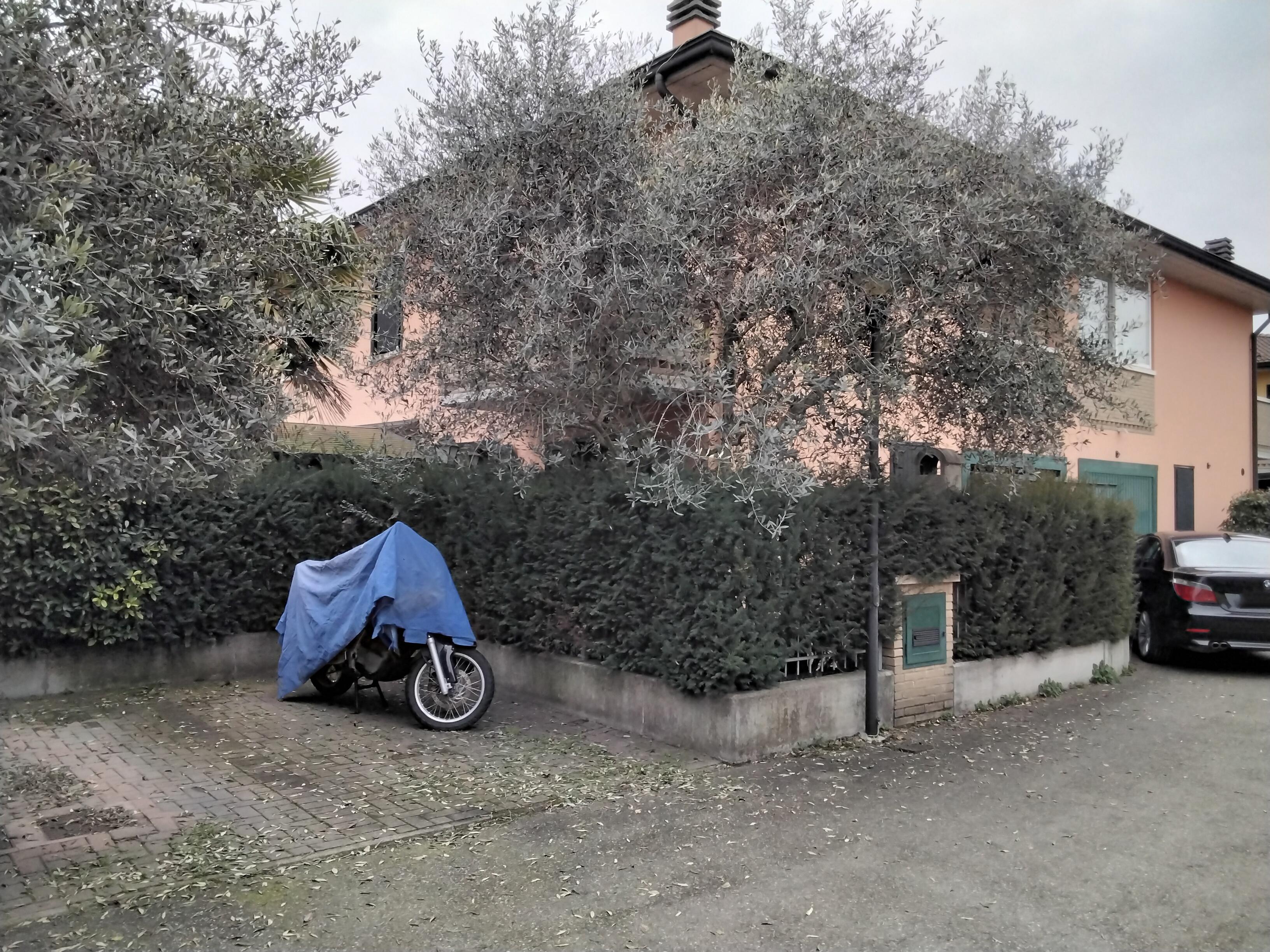 immobile appartamento all'asta in Via della Spiga, 4/A - 42015 Correggio (RE) - 2