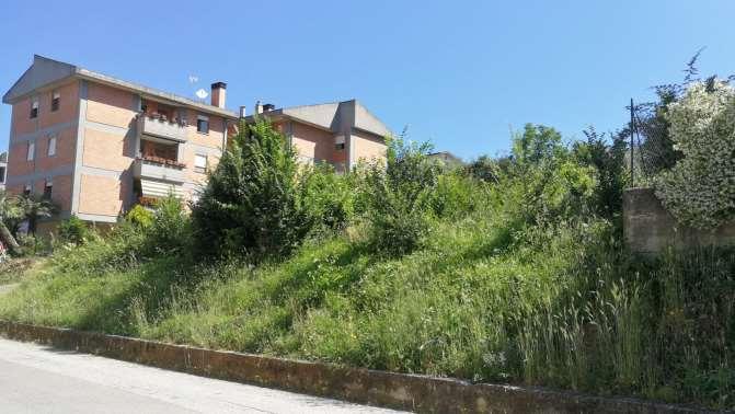 immobile terreno all'asta in Via Cervino, snc - 02010 Cittaducale (RI) - 4