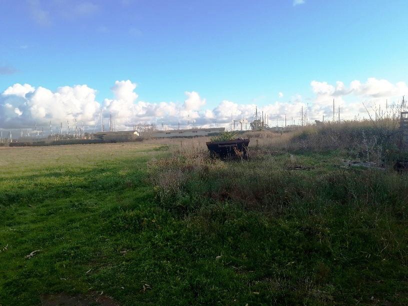 immobile terreno all'asta in LocalitĂ Isola Sacra - Via Castagnevizza 117 - Fiumicino (RM) - 1