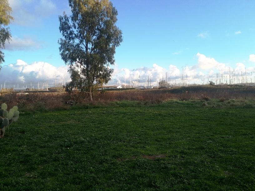 immobile terreno all'asta in LocalitĂ Isola Sacra - Via Castagnevizza 117 - Fiumicino (RM) - 2